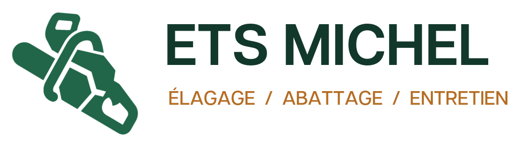 ETS MICHEL